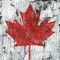 Canada Maple Leaf I Poster Print by Marie-Elaine Cusson - Item # VARPDXRB13032MC